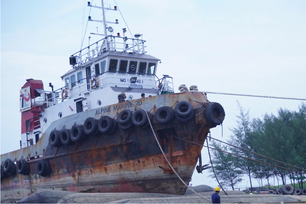 Alphine Marine 02